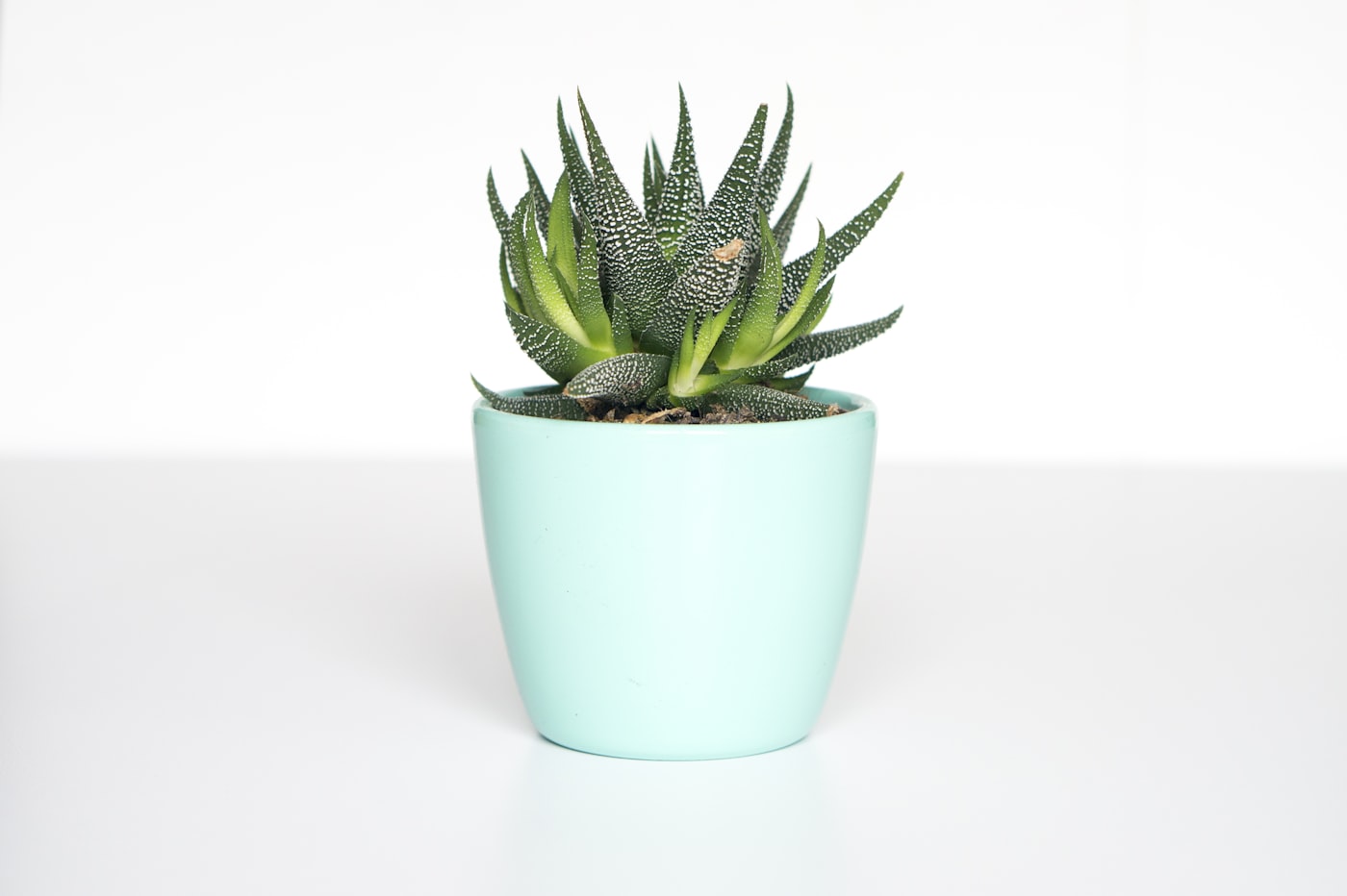 Balcony Pot Grid