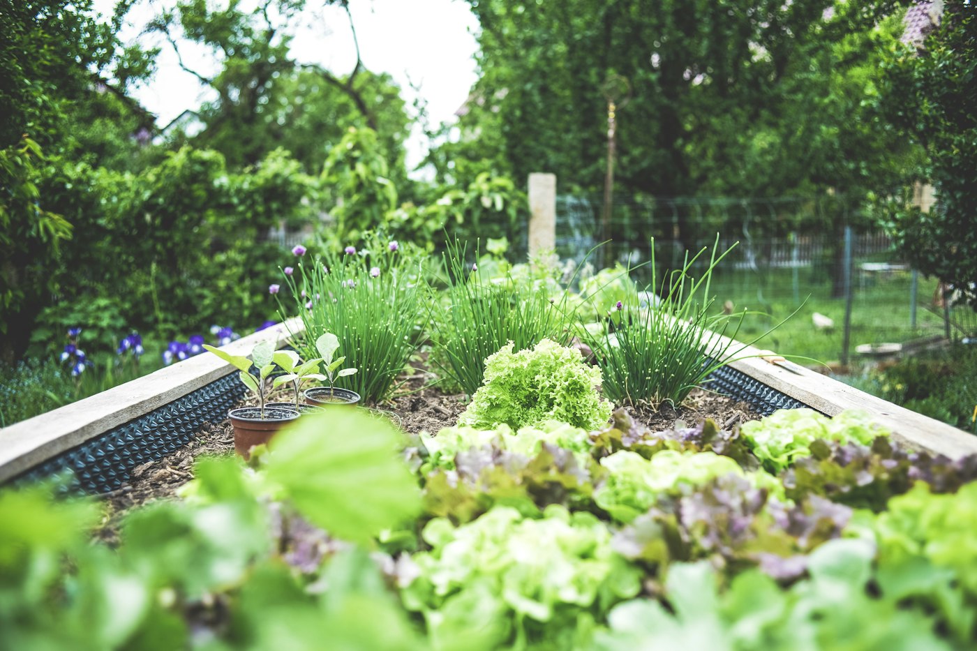 Compost Bay Layout